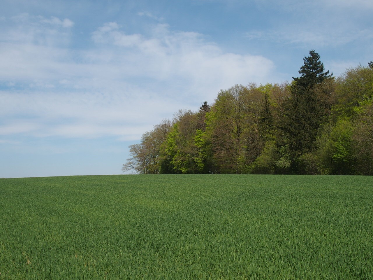Aucune photo pour cette étape.
