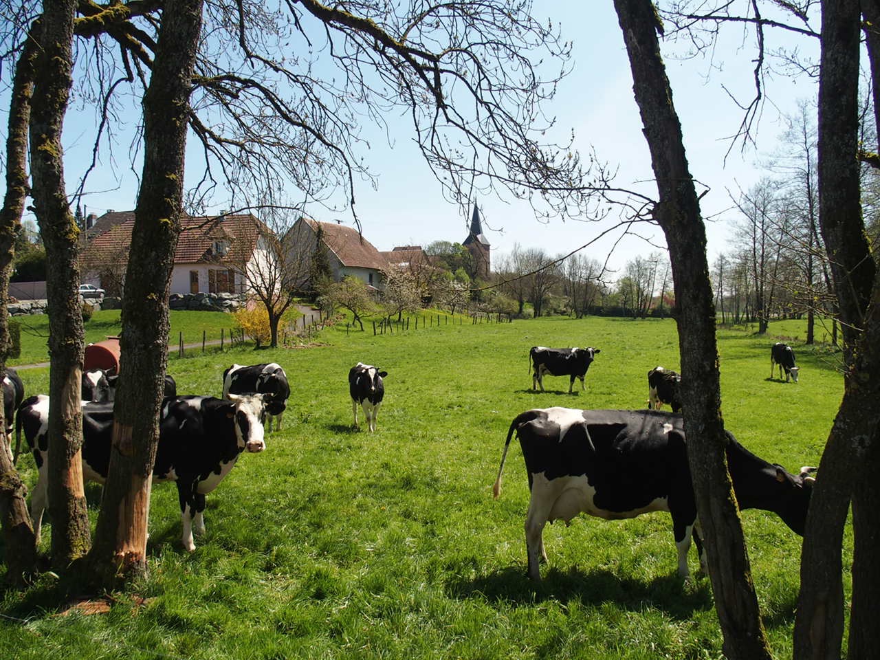 Aucune photo pour cette étape.